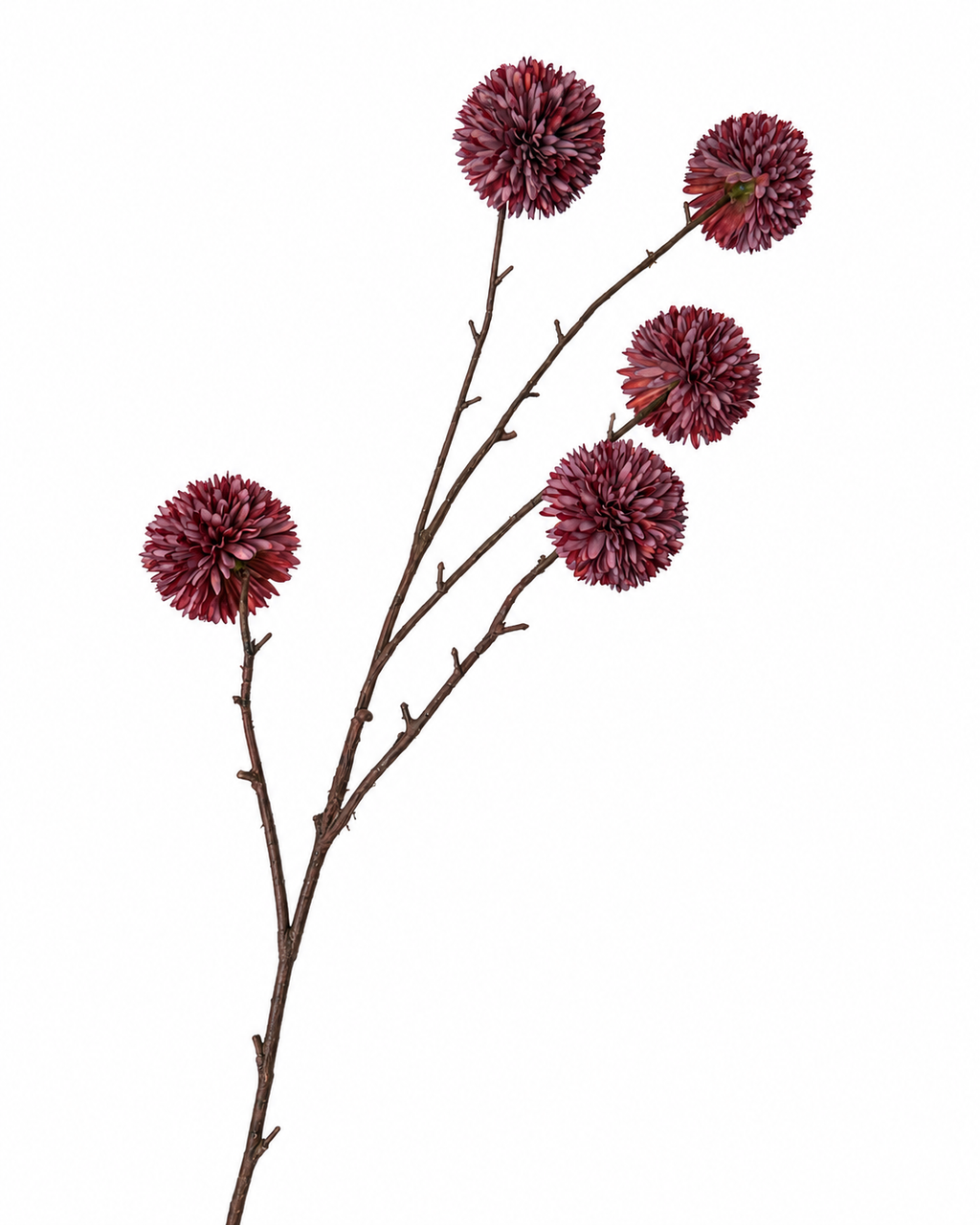 Pompom Burgundy Tak