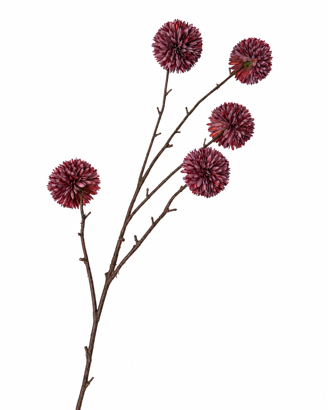 Pompom Burgundy Tak