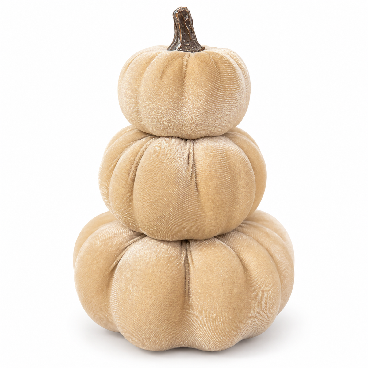 Pompoen Velvet