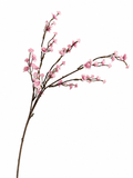 Gipskruid Roze