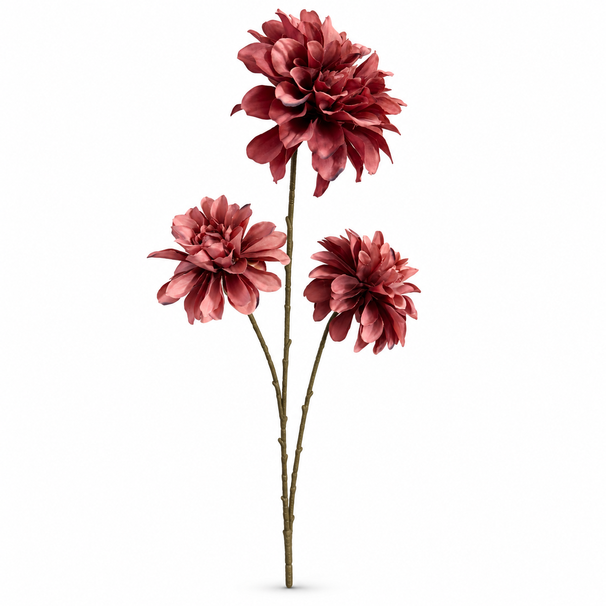 Dahlia Mauve