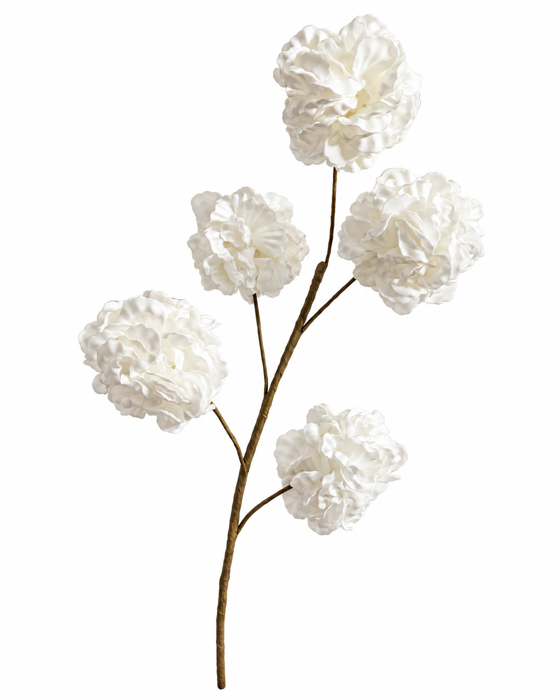 Pompom Tak Wit
