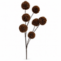 Pompom Coffee