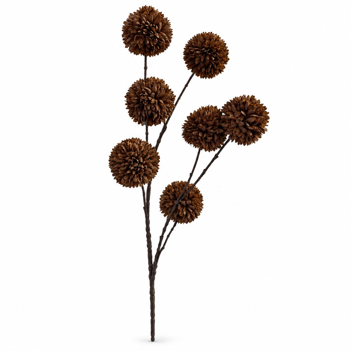 Pompom Coffee