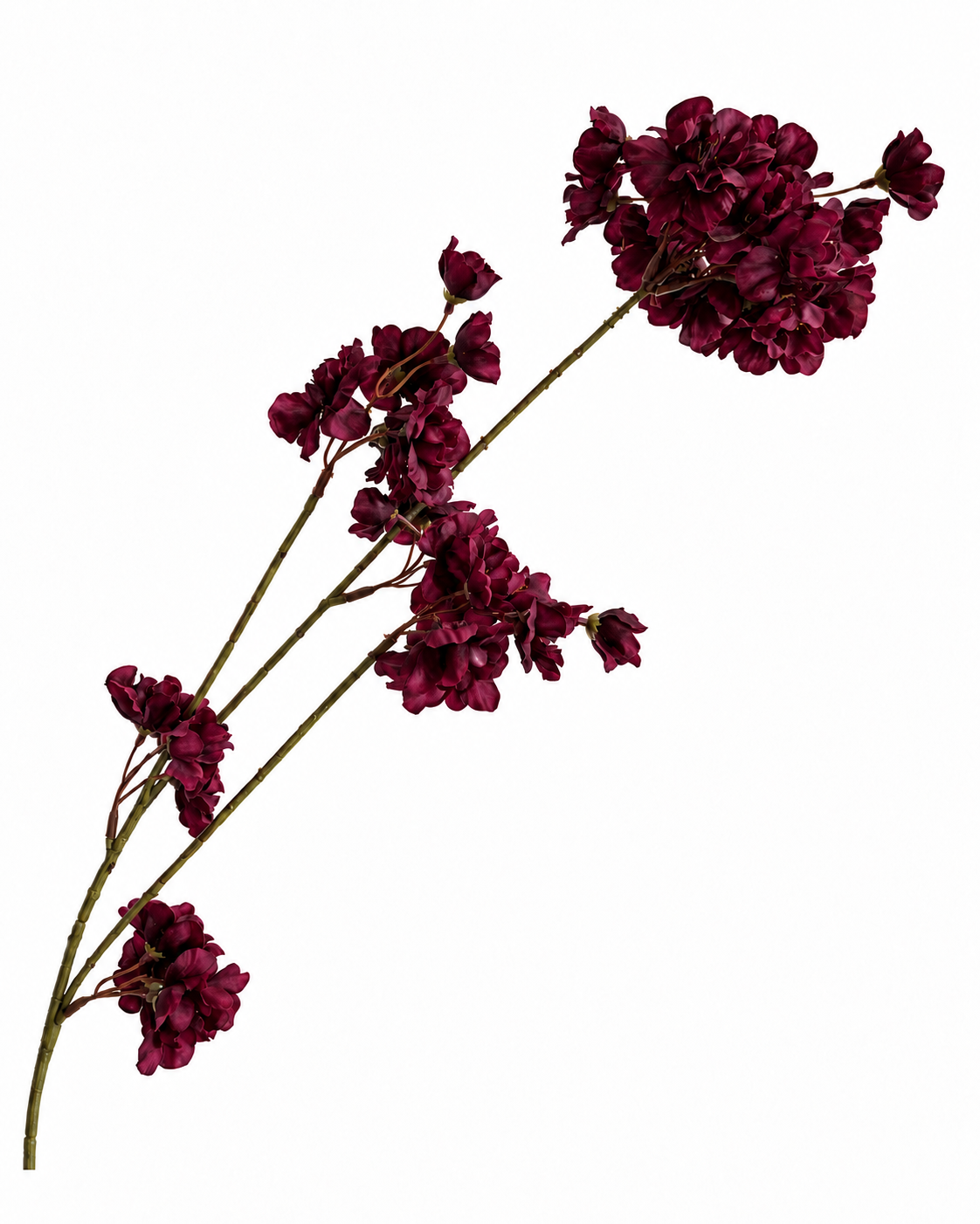 Aubergine Bloesemtak