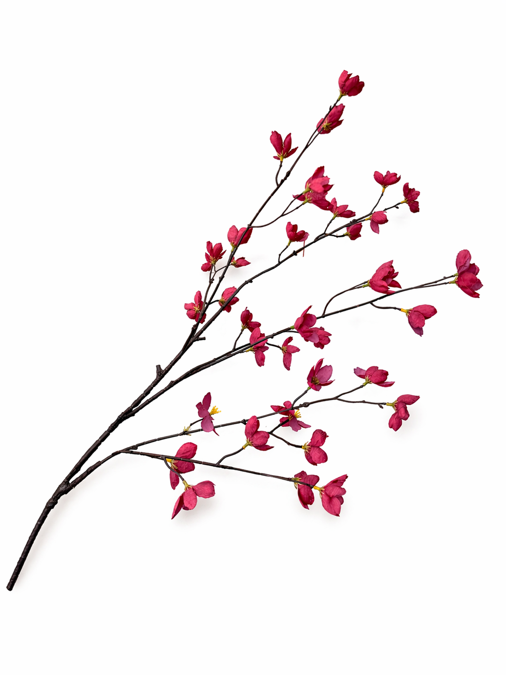 Bloesemtak Burgundy
