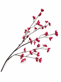 Bloesemtak Burgundy