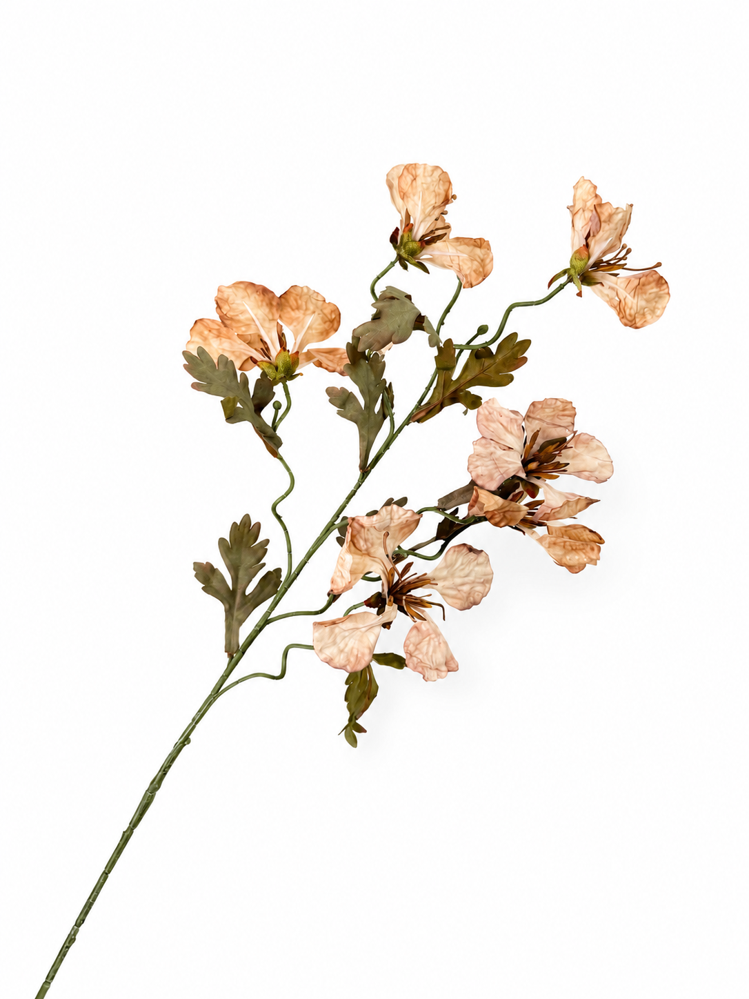 Bloesemtak Sand